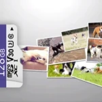 صورة مصغرة للمنتج 4