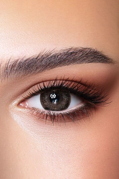 Bella Daily Lense Ash Brown