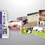 صورة مصغرة للمنتج 4