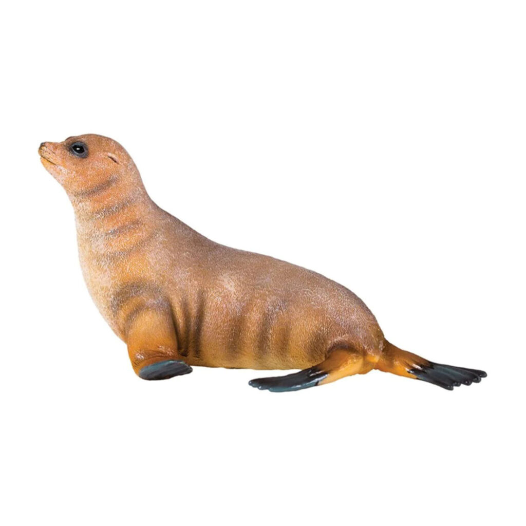 National Geographic Seal