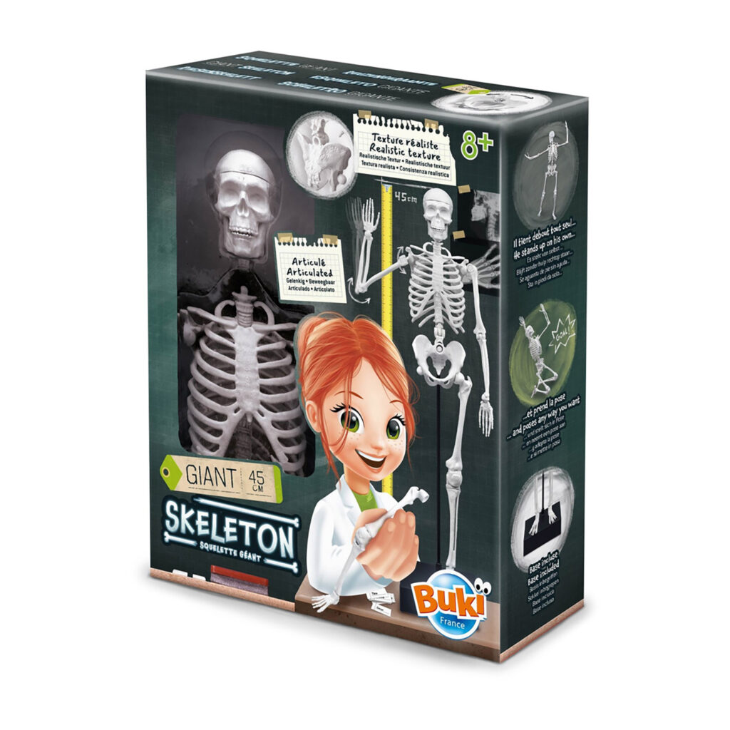 Buki Skeleton 45 Cm