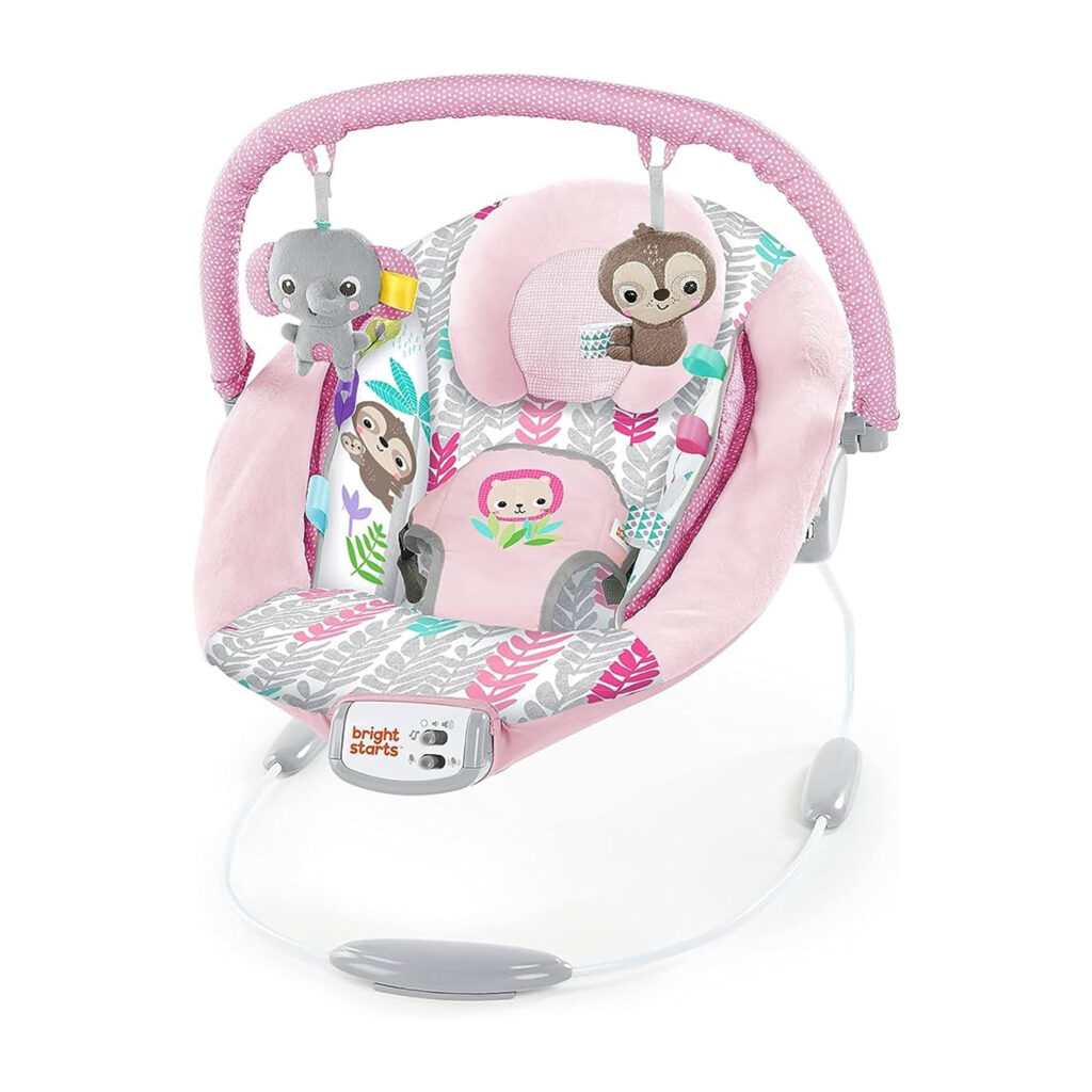 Bright Starts Comfy Bouncer - Rosy Vines