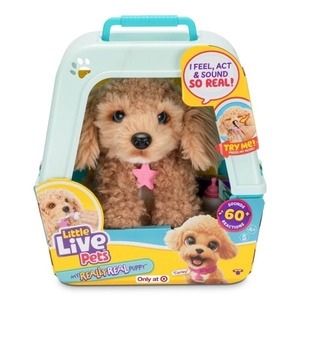 Little Live Pets Mrr Puppy -  Curley