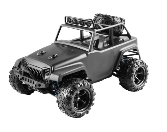 Deerman 2.4G 1:18 R/C Car