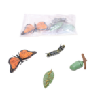 صورة مصغرة للمنتج 1