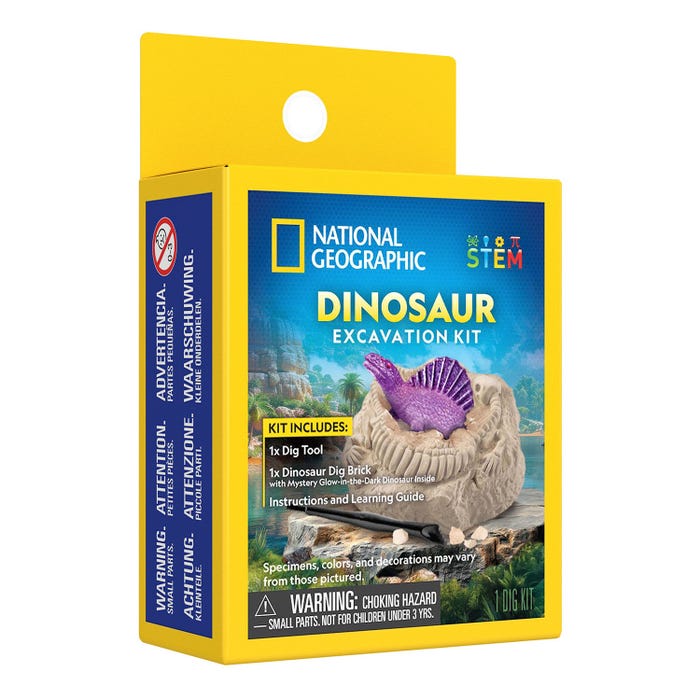 NATIONAL GEOGRAPHICNG DINOSAUR EXCAVATION KIT